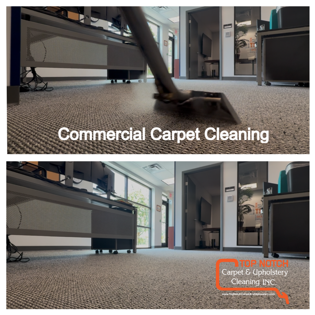 You_Doodle_2026-02-27T16_53_44Z