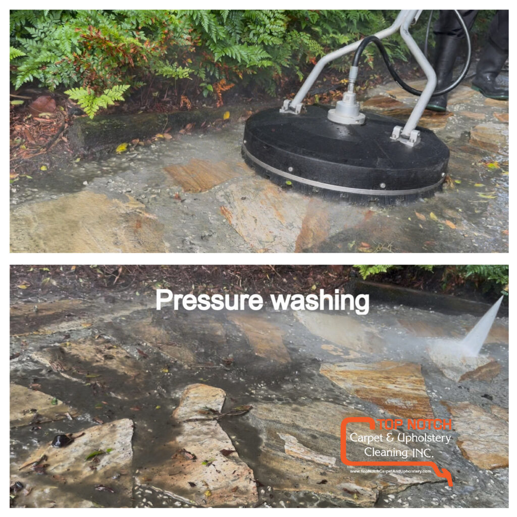 You_Doodle_2026-03-06T12_12_18Z