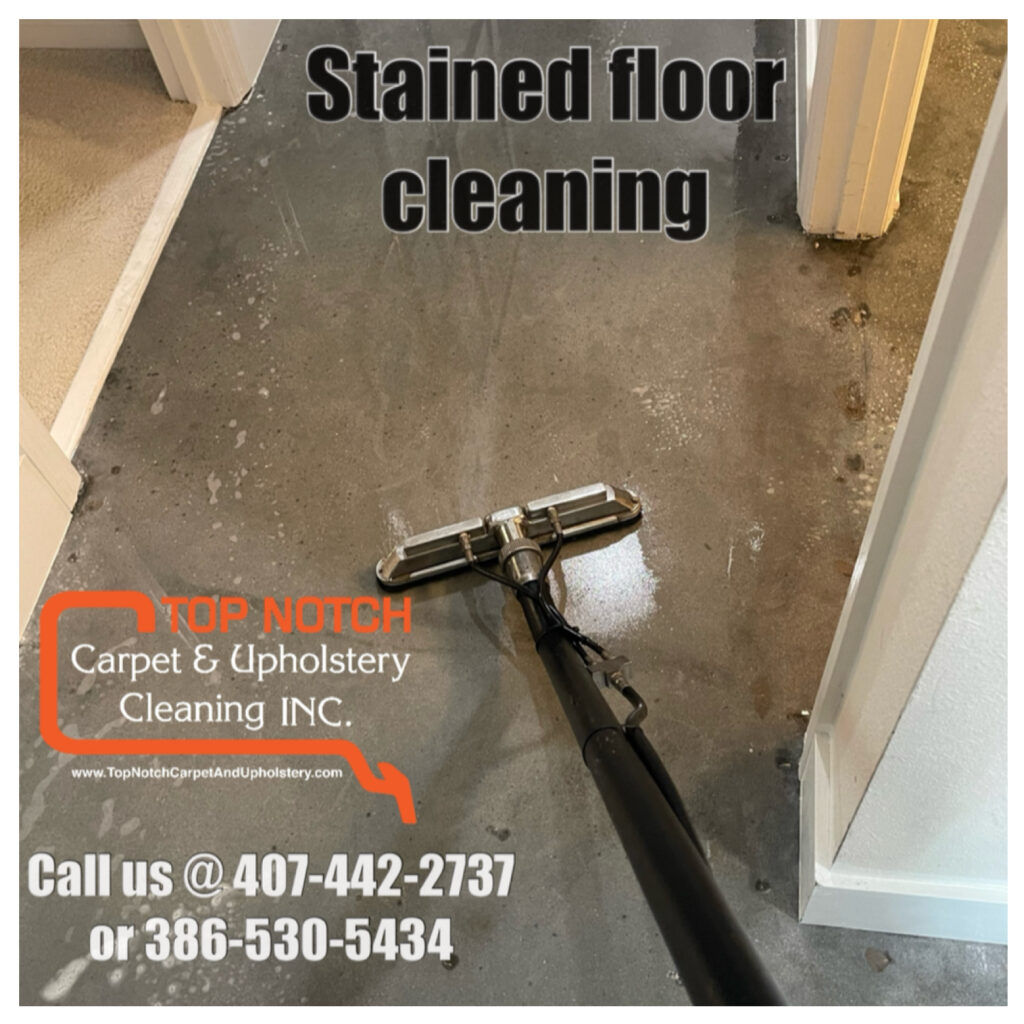 You_Doodle_2026-03-07T01_43_57Z