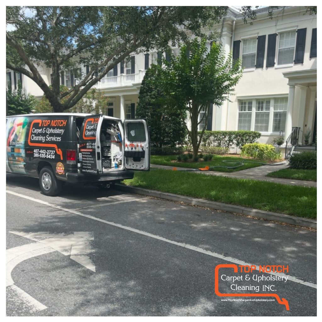 You_Doodle_2026-03-07T08_51_10Z