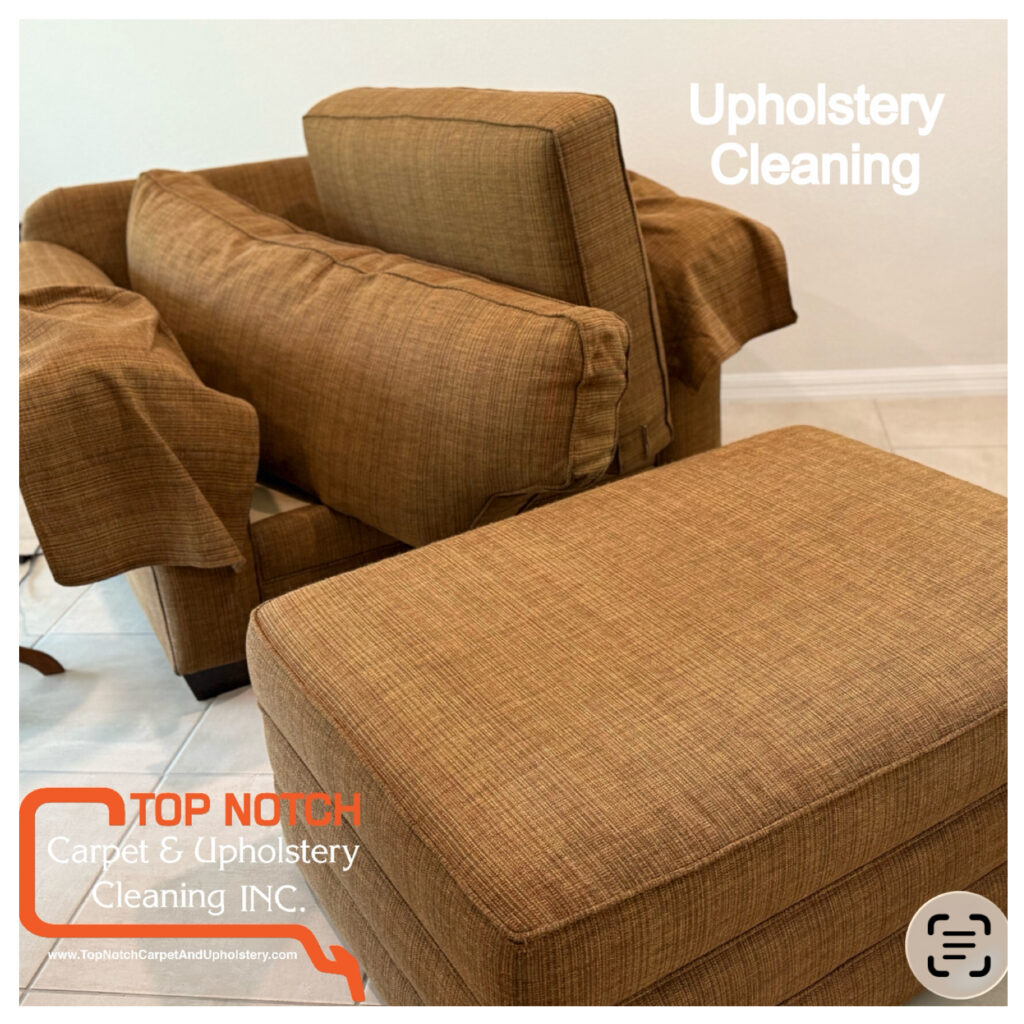 You_Doodle_2026-03-07T08_55_59Z