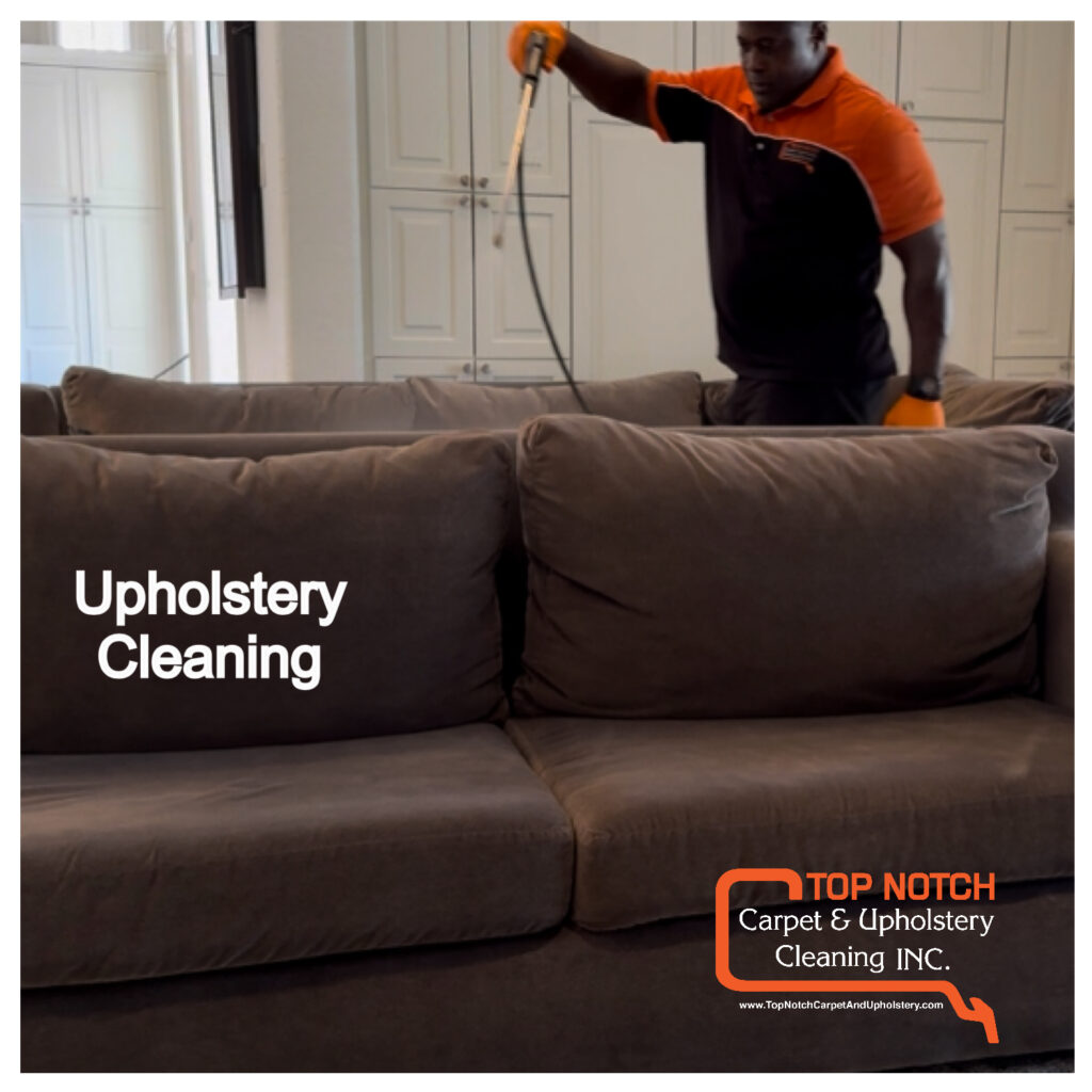 You_Doodle_2026-03-07T09_13_51Z