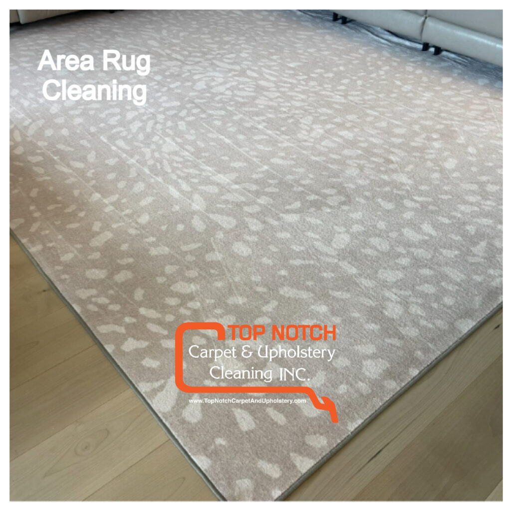 You_Doodle_2026-03-07T22_50_00Z