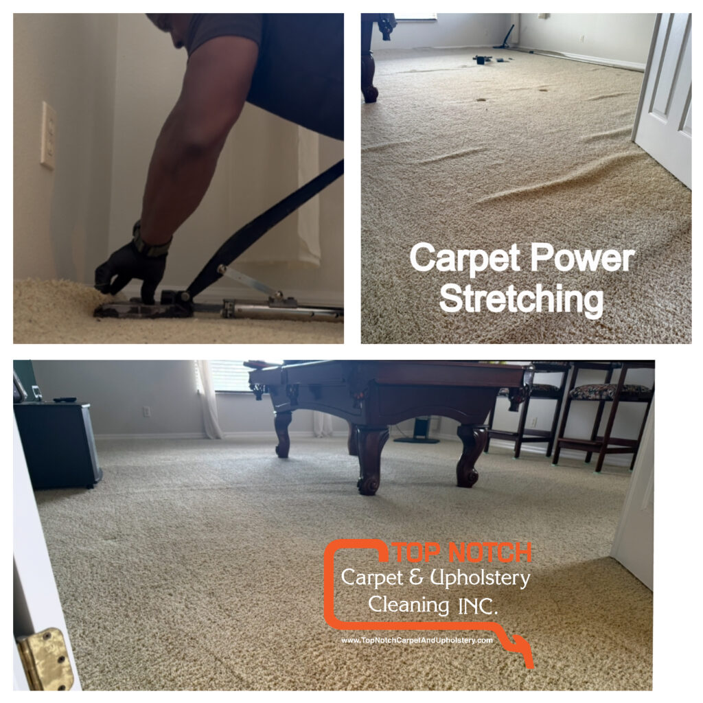 You_Doodle_2026-03-16T00_06_41Z