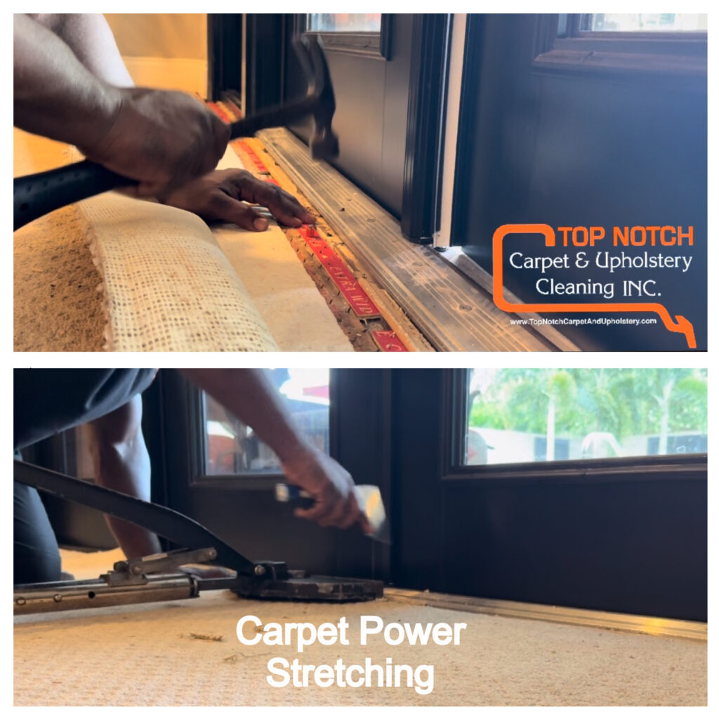 You_Doodle_2026-03-16T00_47_22Z