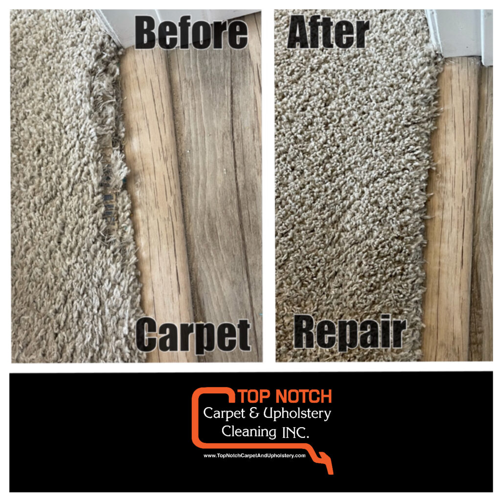 You_Doodle_2026-03-16T03_51_01Z