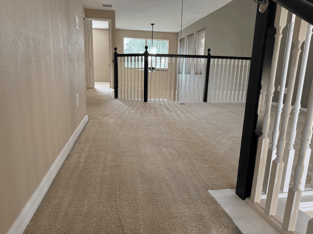 Area Rug Stain Removal