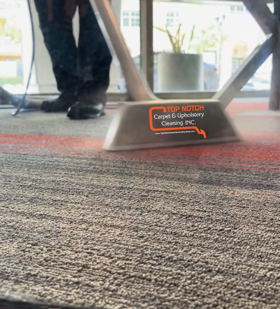 Carpet Cleaning Service